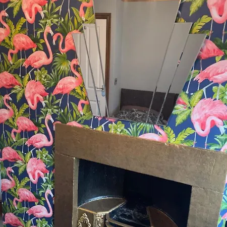 Flosh District 펜션 클리에이터