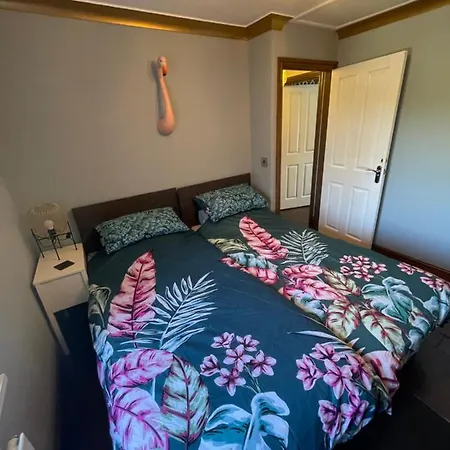 Vakantiehuis Flosh District