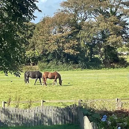 Flosh District Ferienhaus *